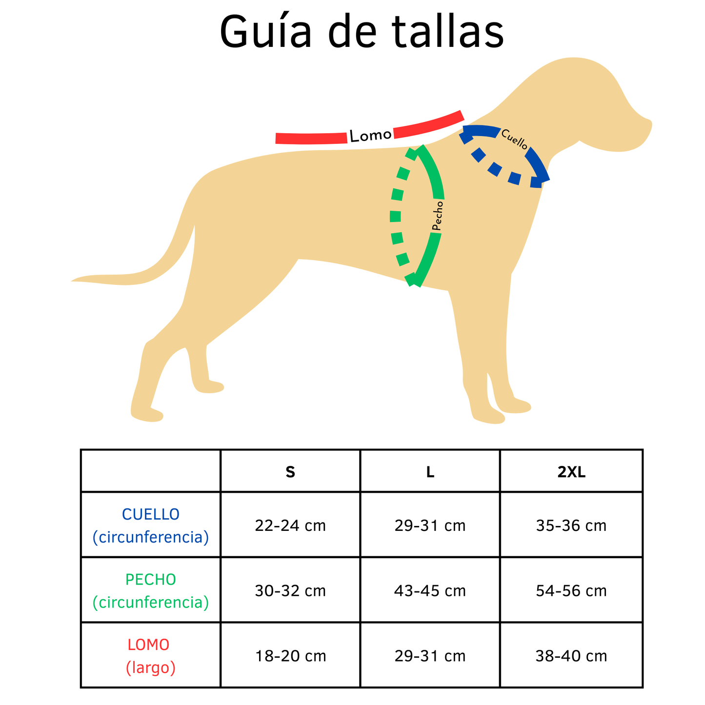Chaleco perro Teddy Bear